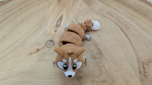 Corgi