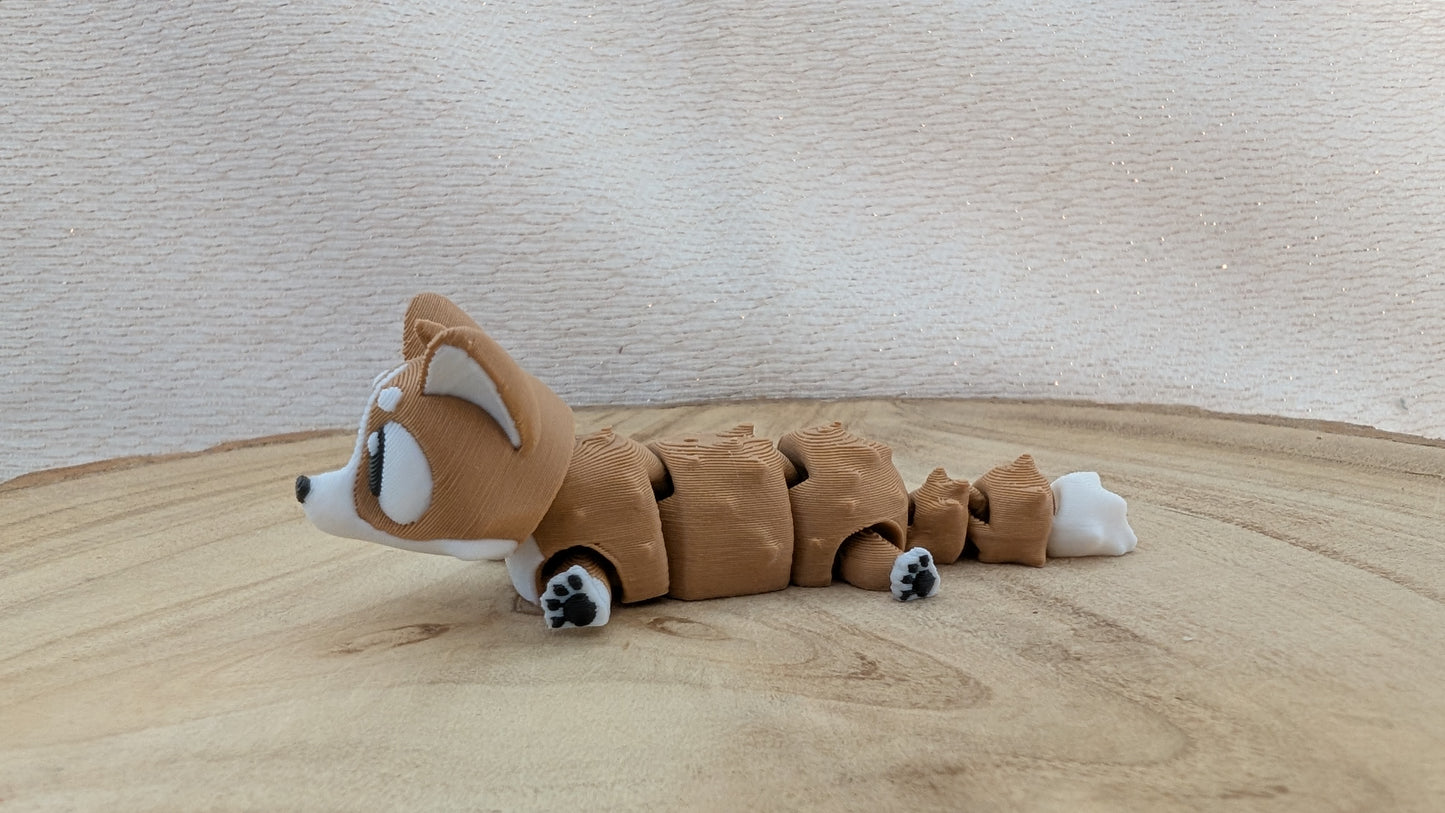 Corgi