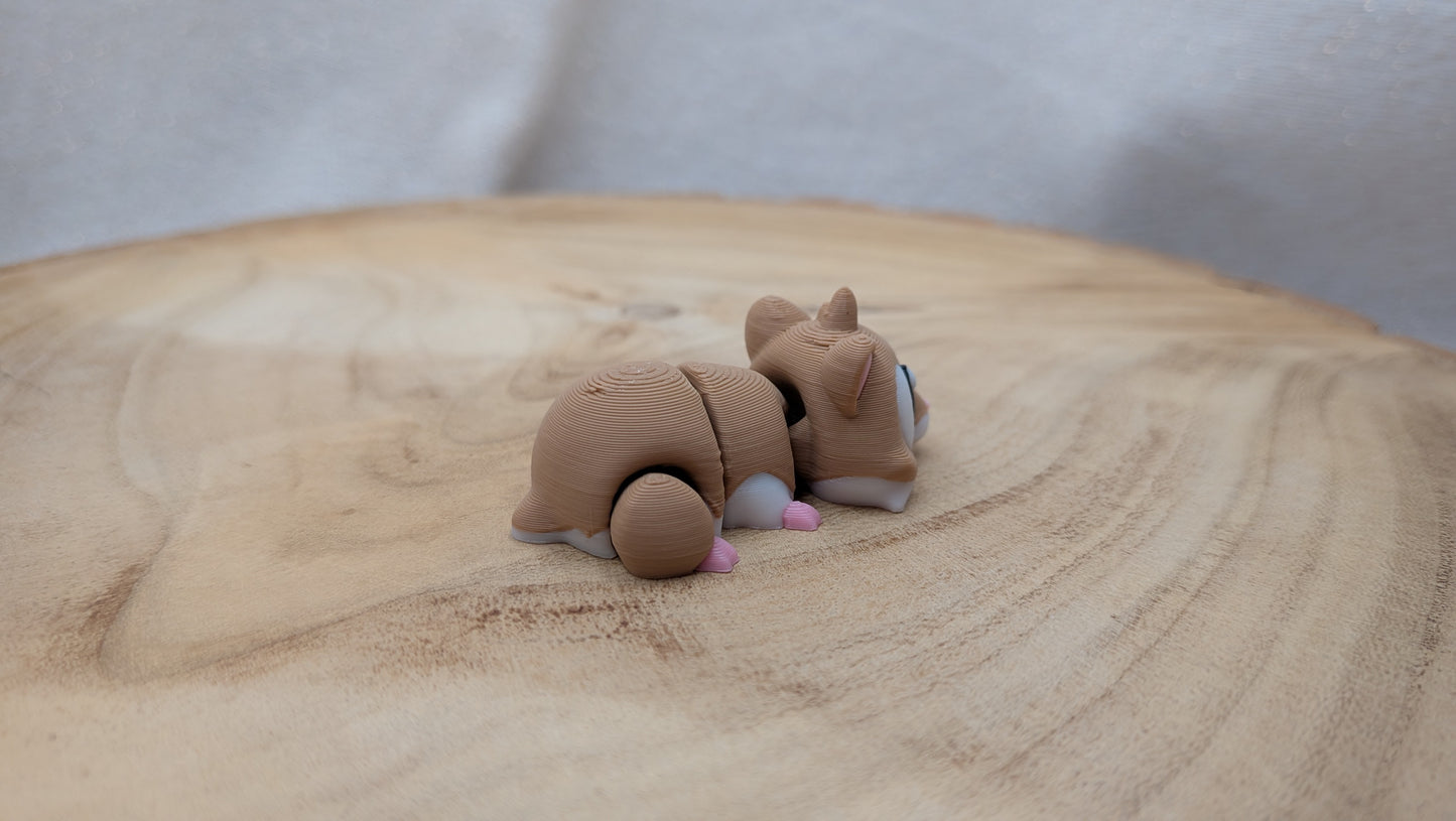 Hamster
