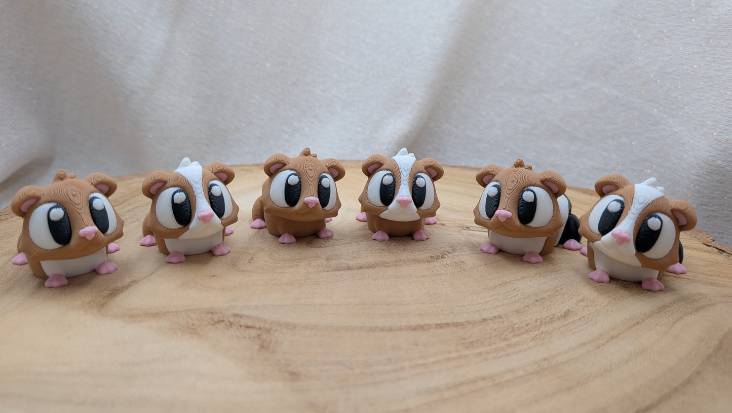 Cavia