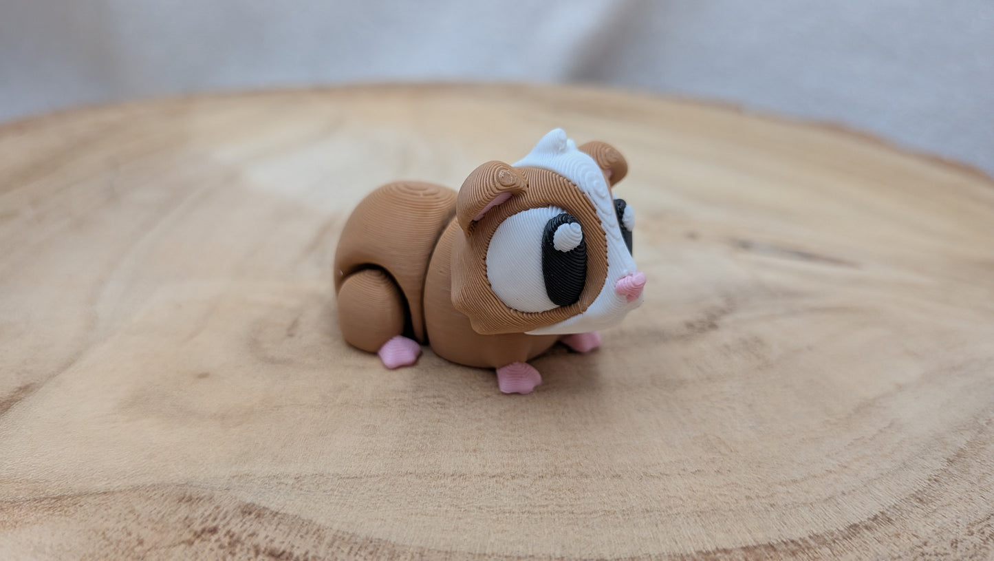 Cavia