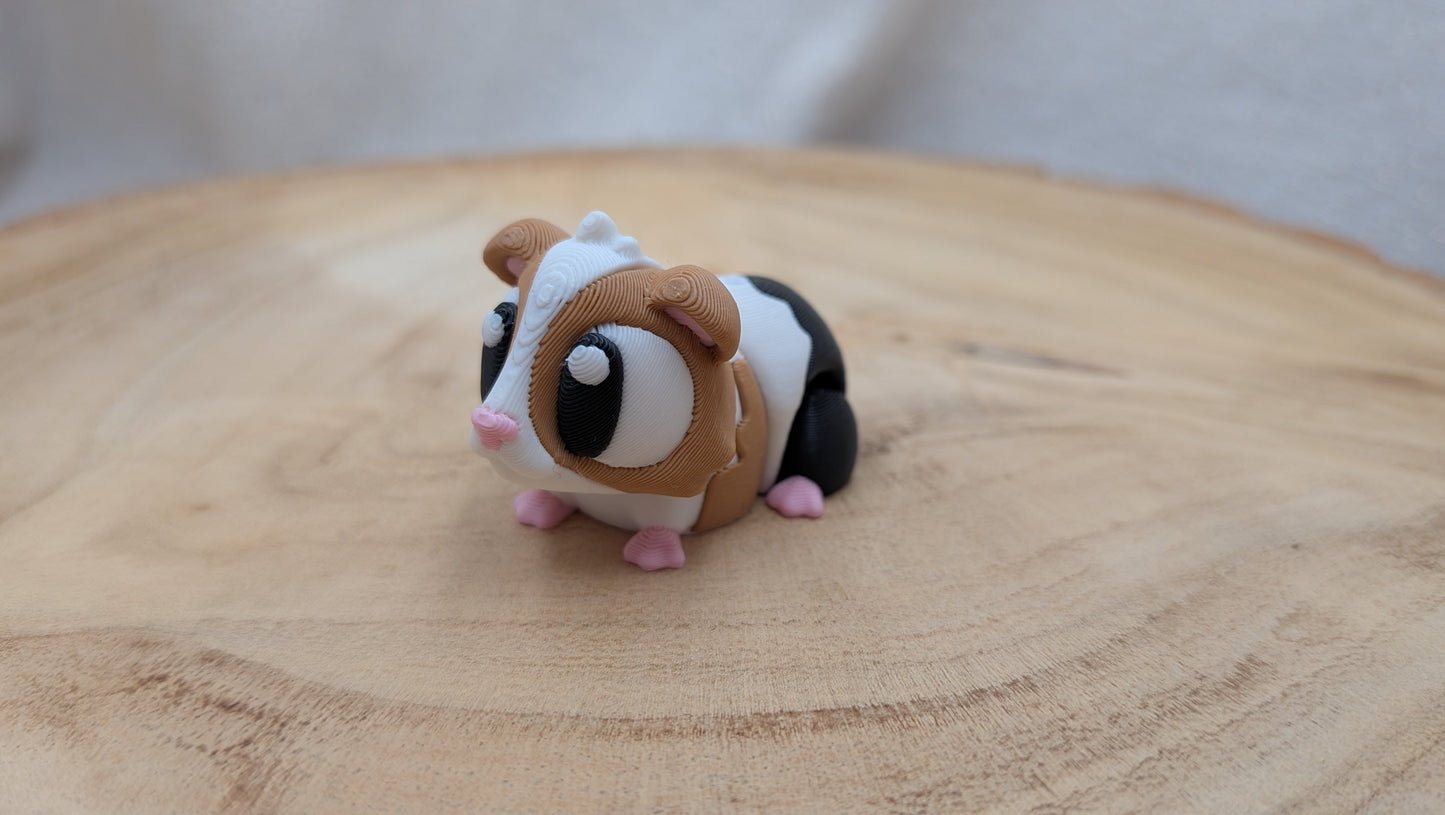 Cavia