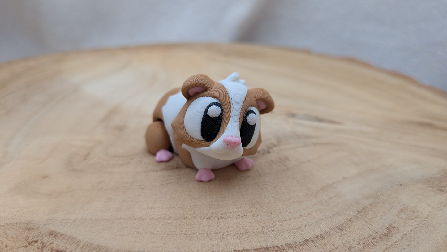 Cavia