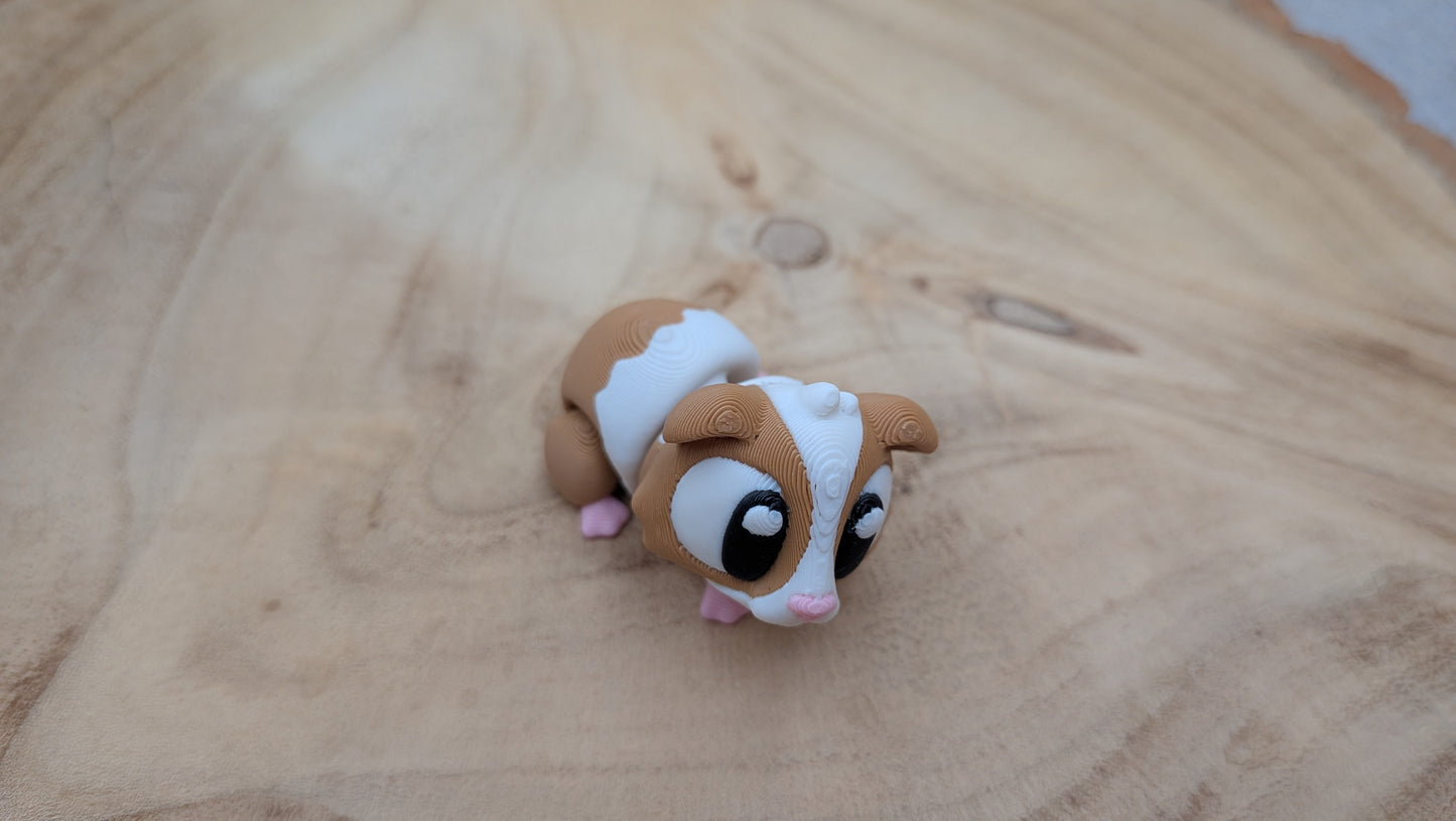 Cavia