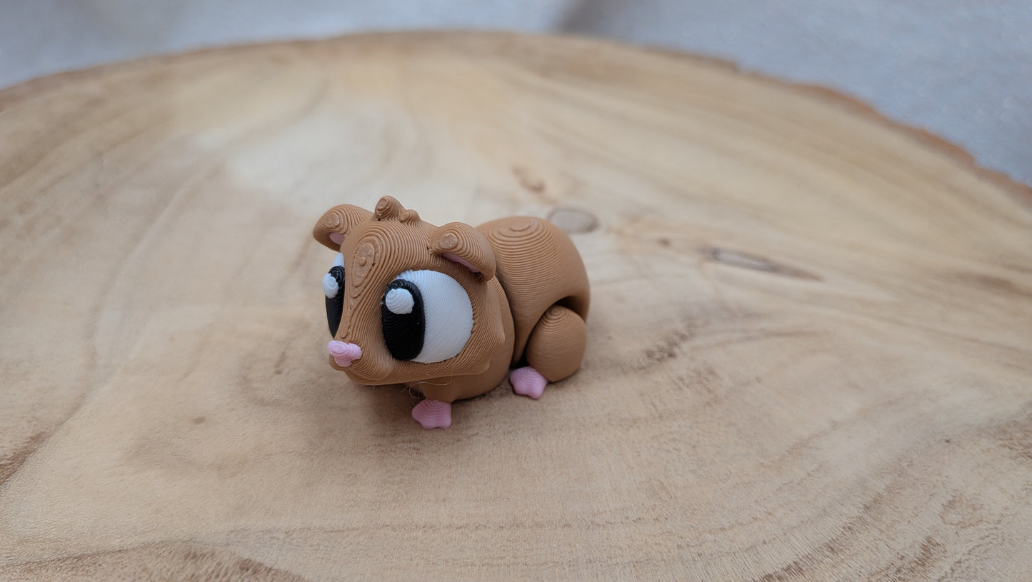 Cavia