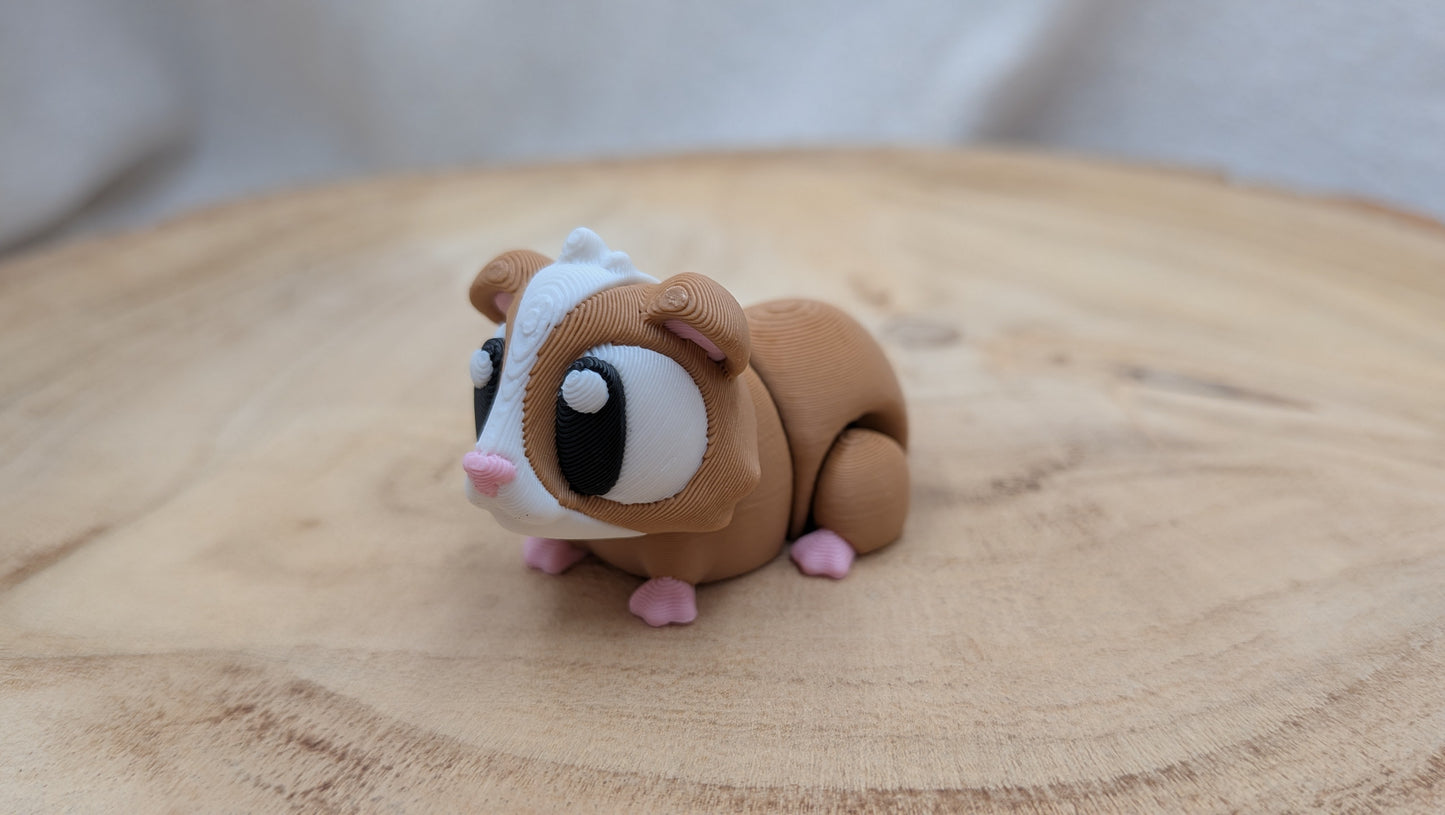 Cavia