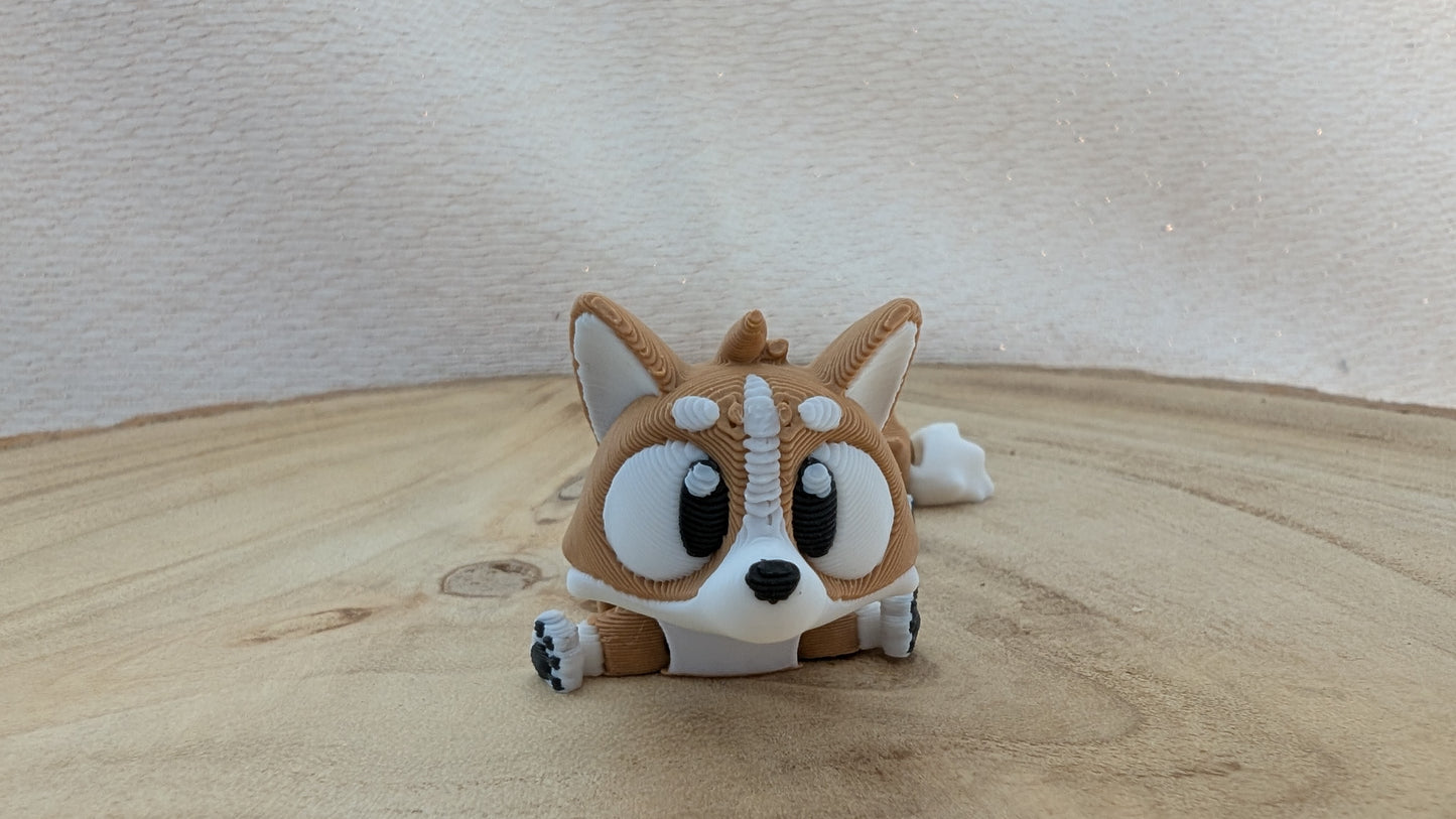 Corgi