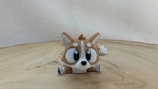 Corgi