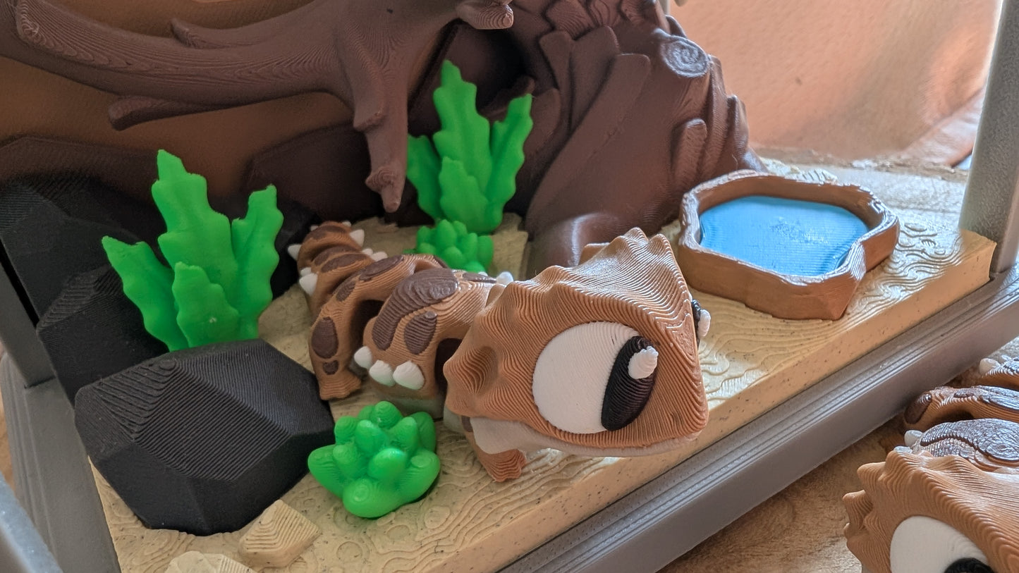 Terrarium